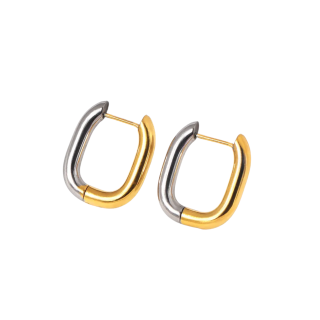Aretes Bicolor