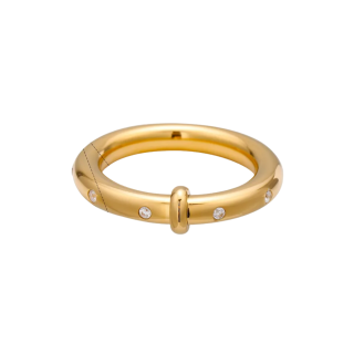 Anillo con Brillo Delgado